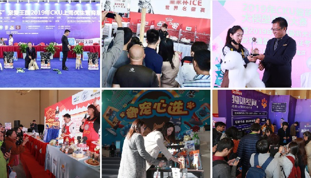 深圳華南寵物用品展覽會PetFair South China(www.zgxdjyzbzz.cn)
