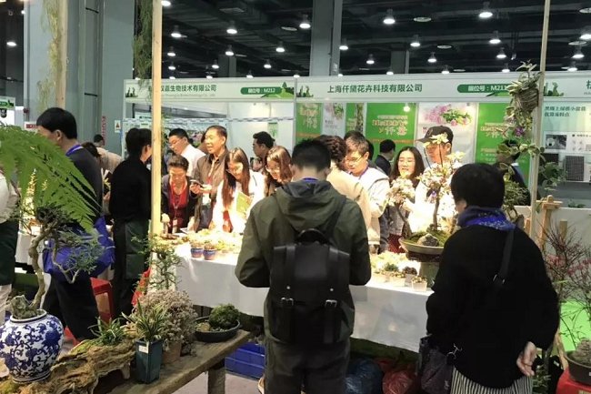 亞洲國際花卉園藝展覽會Flower Expo Asia(www.zgxdjyzbzz.cn)