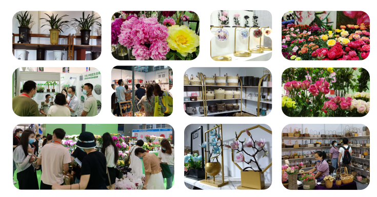 2022廣州鮮花植物博覽會(huì)(www.zgxdjyzbzz.cn)