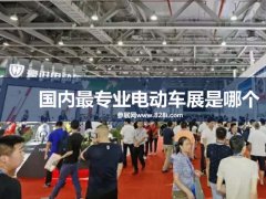 國內(nèi)最專業(yè)的電動車展是哪個?廣州電動車展